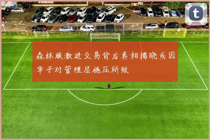 森林狼激进交易背后真相揭晓或因华子对管理层施压所致